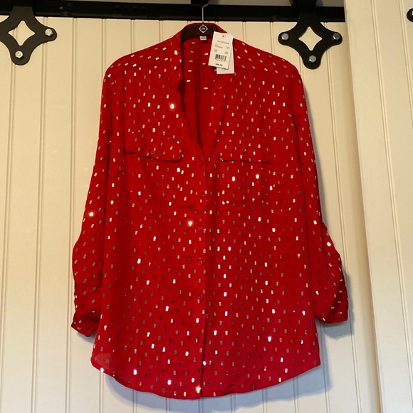 Tops - Show stopper dressy blouse. 1X 24” pit, 28” long, pretty sleeve detail.